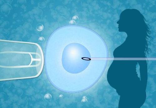 合肥双胞胎借卵流程
：为什么国外的月子中心如此受欢迎？合肥公民身份的优势是什么？